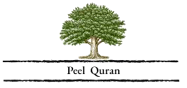 Your Logo